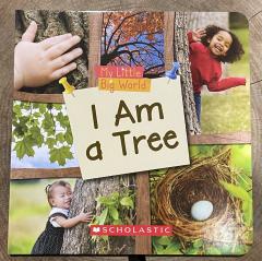 I Am a Tree