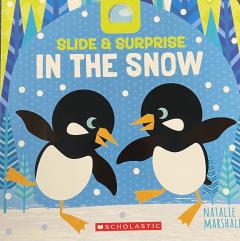 Slide & Surprise In The Snow