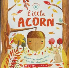 Little Acorn