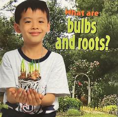 What are bulbs and roots?