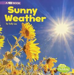 Sunny Weather