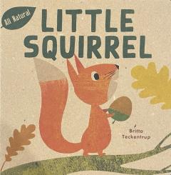 Little Squirrel 