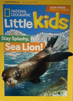 Stay Splashy, Sea Lion!